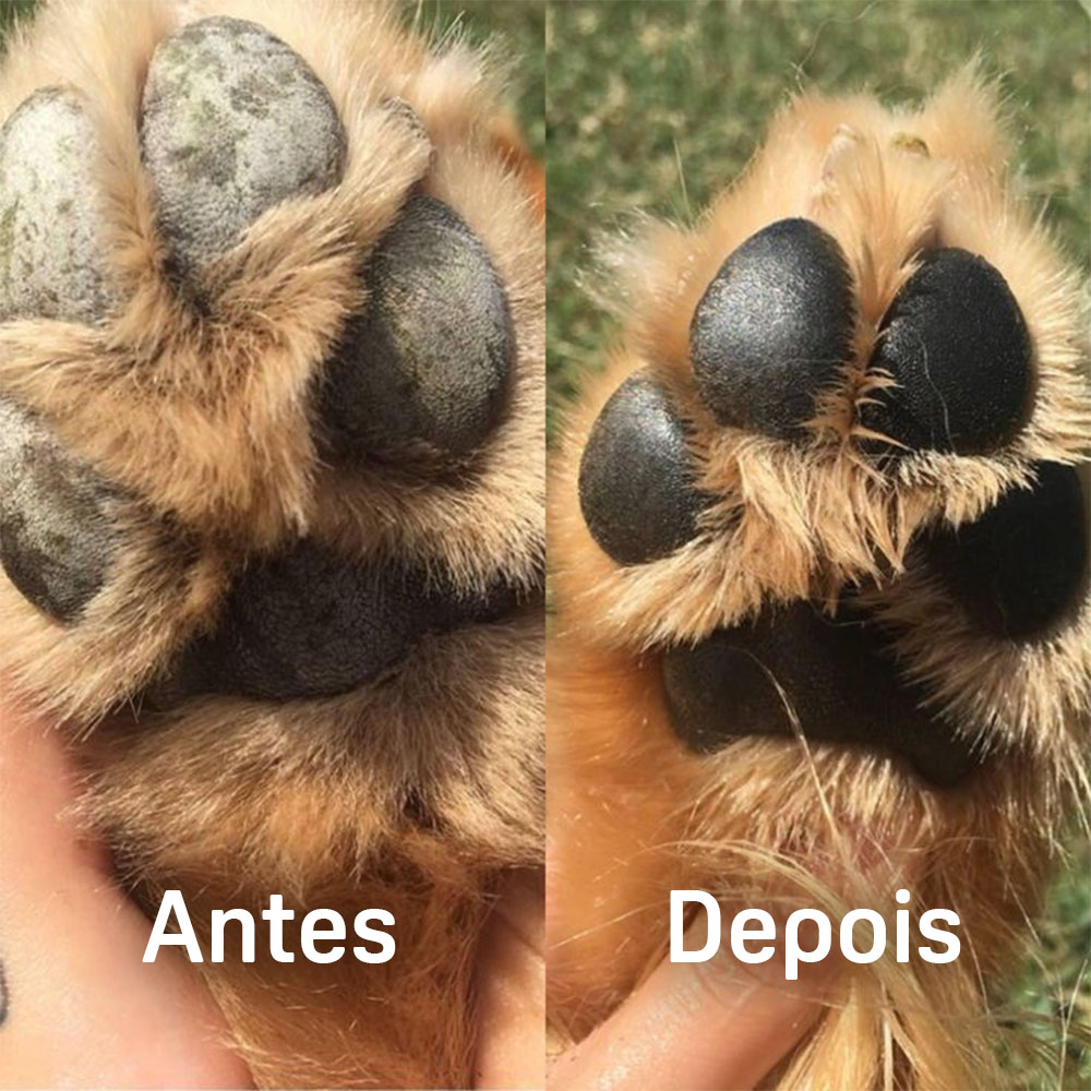 Antes e depois da patinha com Chameguin